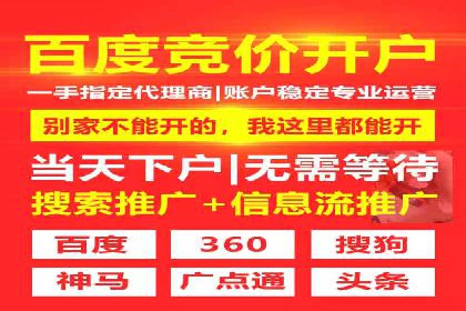 成功SEM托管案例解析